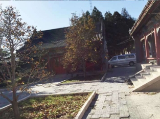金山陵园
