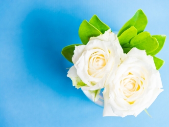 老人过世后殡葬服务流程如何进行?