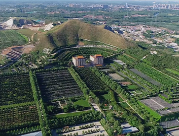灵山宝塔陵园